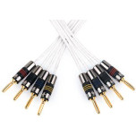 QED Silver Anniversary XT Bi Wire Speaker Cable - 50m Reel