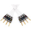 QED Silver Anniversary XT Bi Wire Speaker Cable - Per Metre