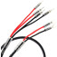 Atlas Mavros Grun Bi Wire Speaker Cables (Terminated Pairs)