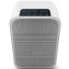 Bluesound Pulse Flex White Top