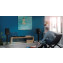 Dali Callisto 2 C Wireless Speakers (Pair) Lifestyle Setup