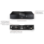 Naim NSS 333 Network Player Streamer Connections Info