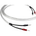 Chord Clearway X Speaker Cable - 3m Pair (terminated with Ohmic plugs)