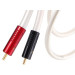 Atlas Equator Achromatic RCA Interconnects