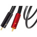Atlas Hyper Achromatic RCA Interconnects